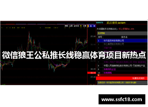 微信狼王公私推长线稳赢体育项目新热点